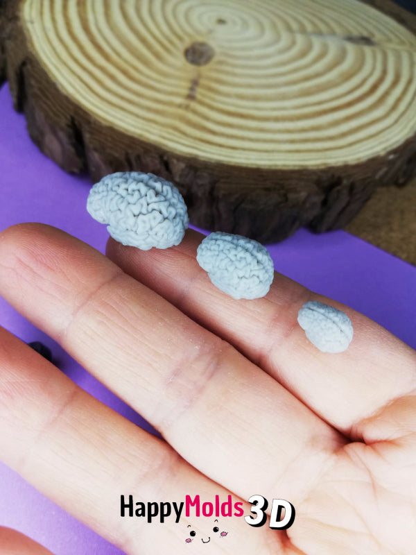 Miniatura cervello