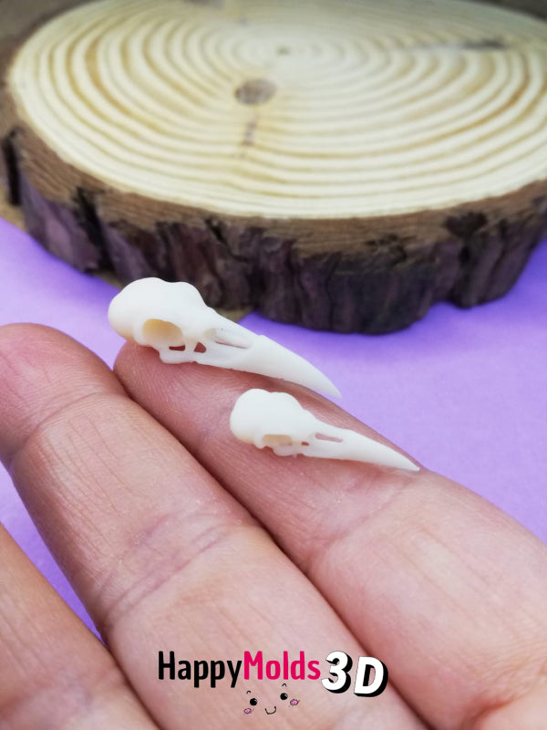 Miniatura teschio corvo