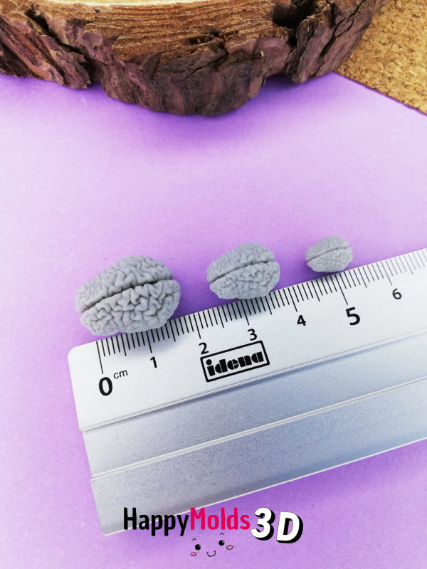 Miniatura cervello